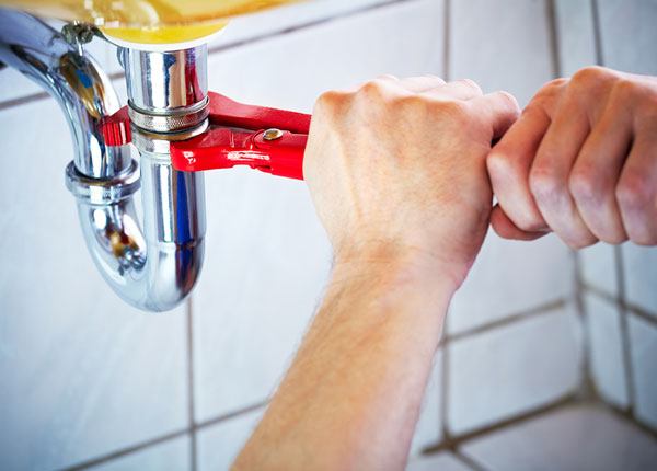 About Dellroy Plumbers